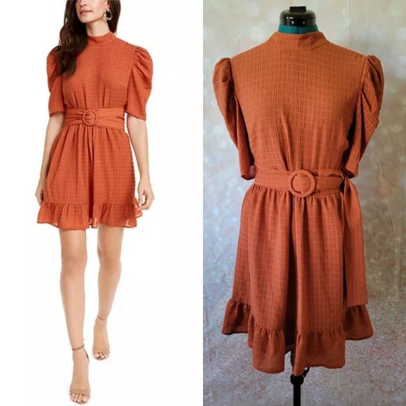 Macy's Dresses & Skirts - Leyden Sienna Puff Sleeve Mini Dress